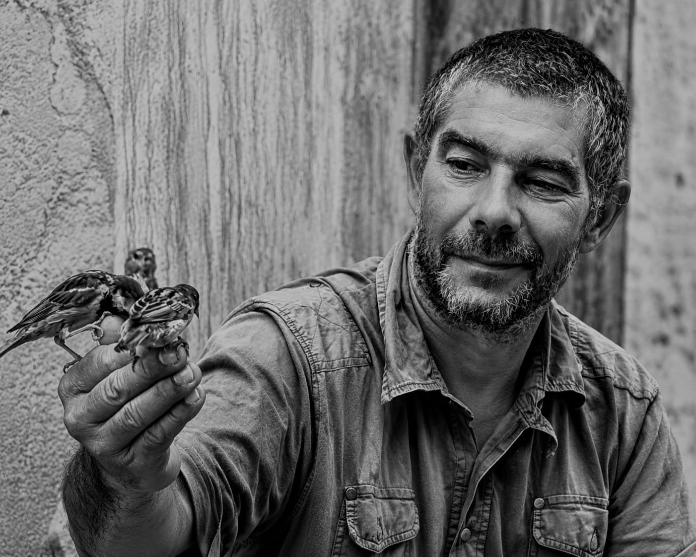 A Man and His Birds