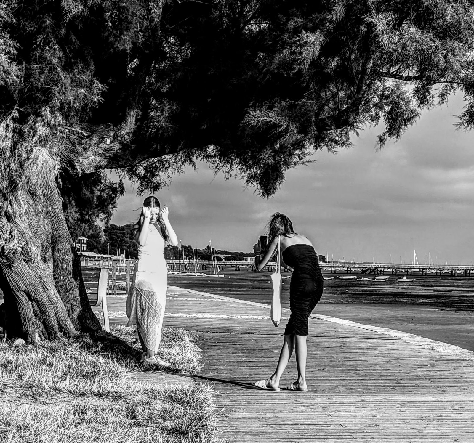 Portrait Beneath the Tree