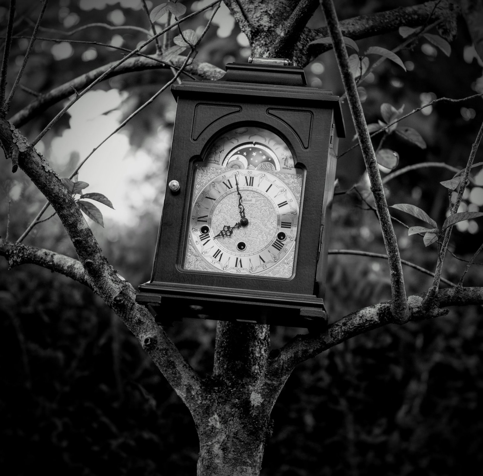 Garden Clock